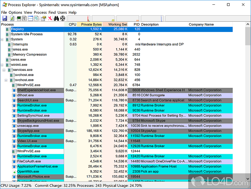 Process Explorer showing running processes and CPU usage